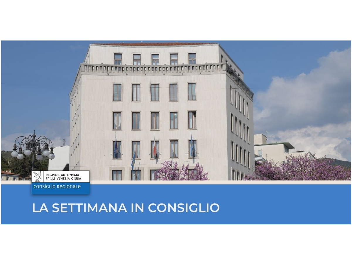 La settimana in Consiglio