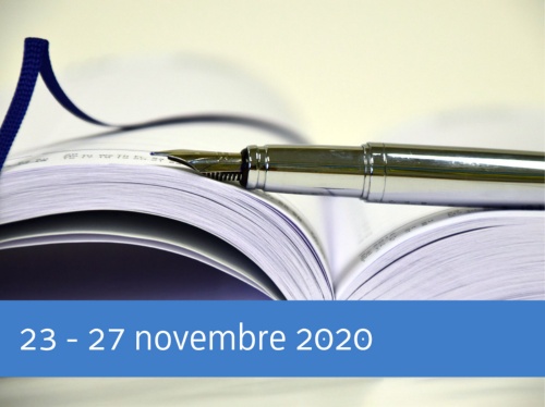 La settimana in Consiglio dal 23 al 27 novembre 2020