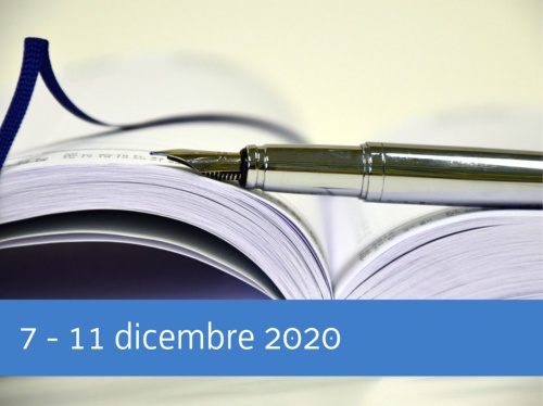 La settimana in Consiglio dal 7 al 11 dicembre 2020