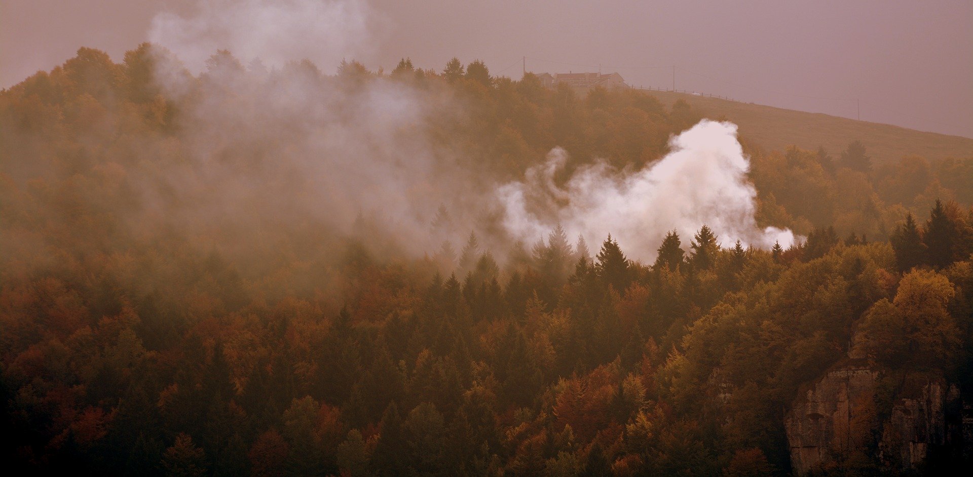 Incendio boschivo autunnale (foto dal web, pixabay)